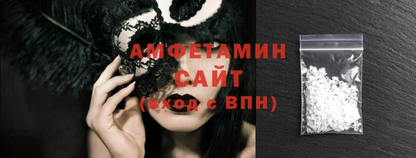 шишки Заволжье