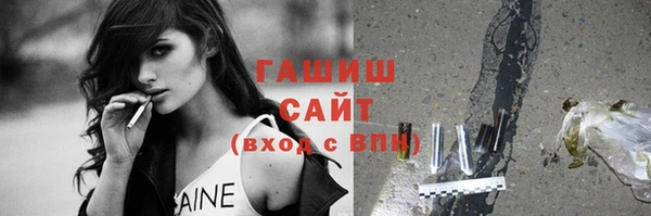 шишки Заволжье