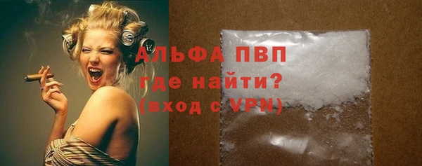 шишки Заволжье