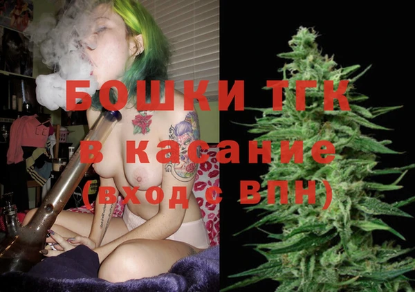 шишки Заволжье