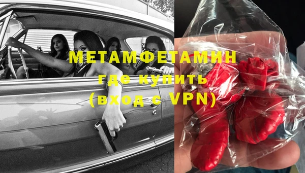 шишки Заволжье