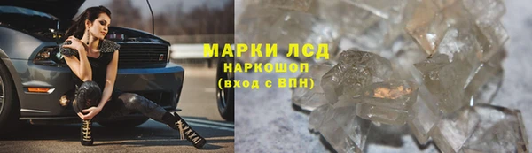 стафф Заводоуковск