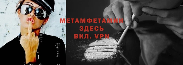шишки Заволжье