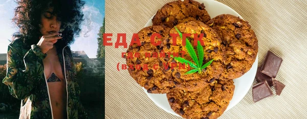 шишки Заволжье