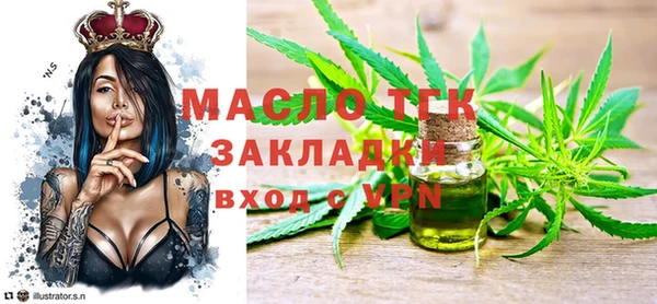 шишки Заволжье