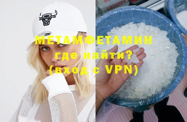 шишки Заволжье