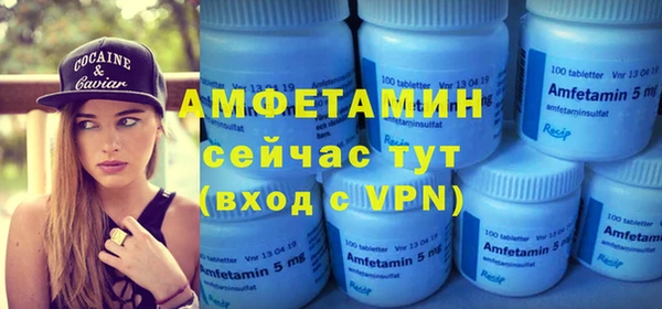 шишки Заволжье