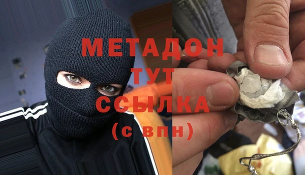 шишки Заволжье