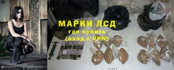шишки Заволжье