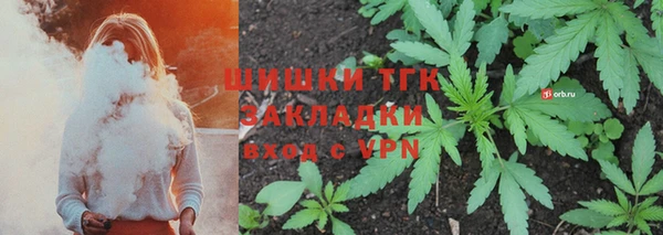 шишки Заволжье