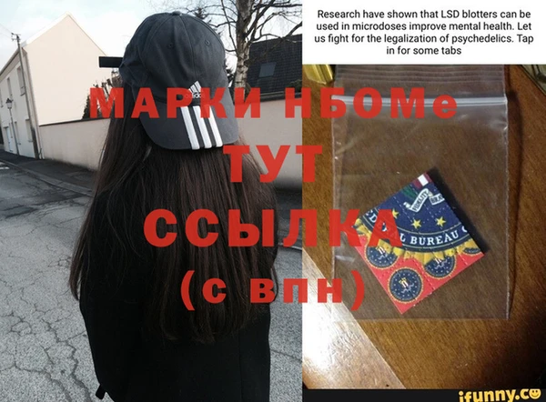 стафф Заводоуковск