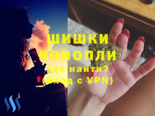 стафф Заводоуковск
